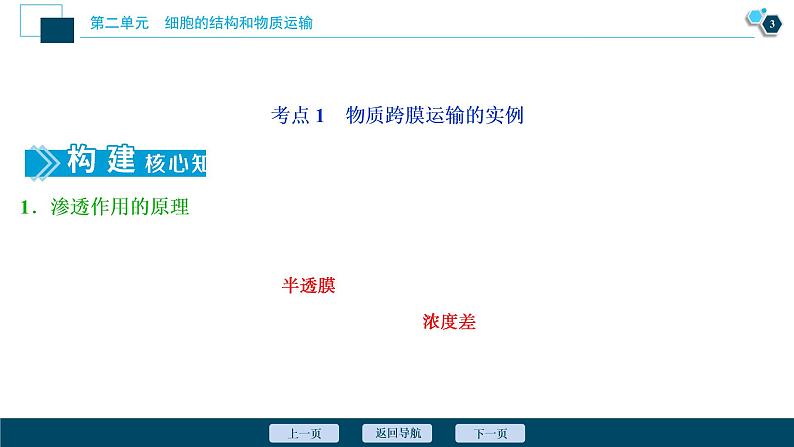 高中生物高考4 第6讲　细胞的物质输入和输出课件PPT04