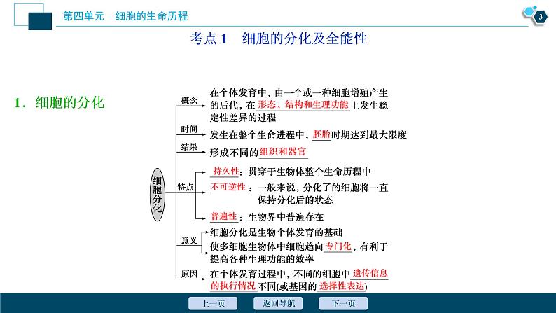 高中生物高考4 第12讲　细胞的分化、衰老、凋亡及癌变课件PPT04