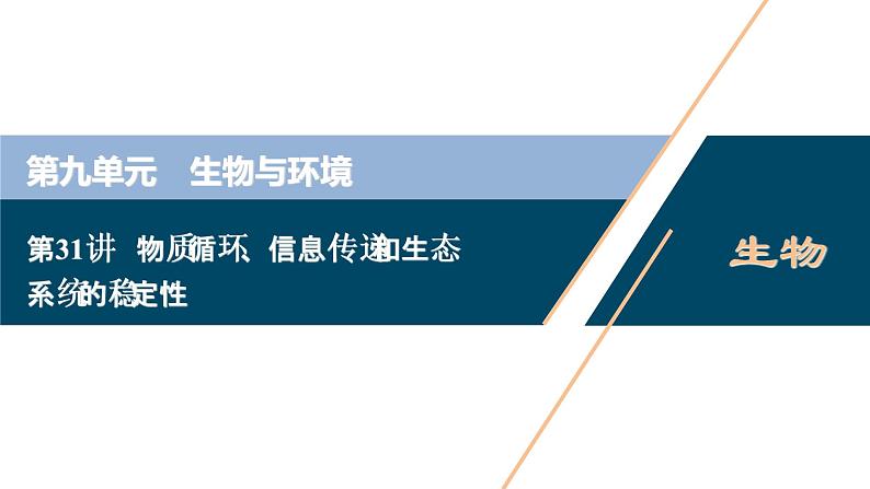 高中生物高考4　第九单元　第31讲　物质循环、信息传递和生态系统的稳定性课件PPT01