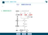 高中生物高考4　第一单元　第4讲　核酸、糖类与脂质课件PPT