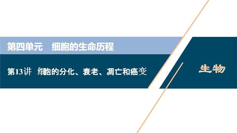 高中生物高考4　第四单元　第13讲　细胞的分化、衰老、凋亡和癌变课件PPT第1页