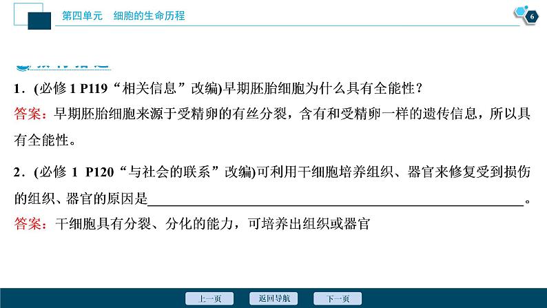 高中生物高考4　第四单元　第13讲　细胞的分化、衰老、凋亡和癌变课件PPT第7页