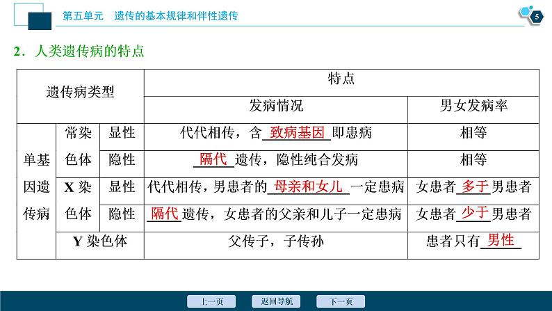 高中生物高考5 第16讲　人类的遗传病课件PPT第6页