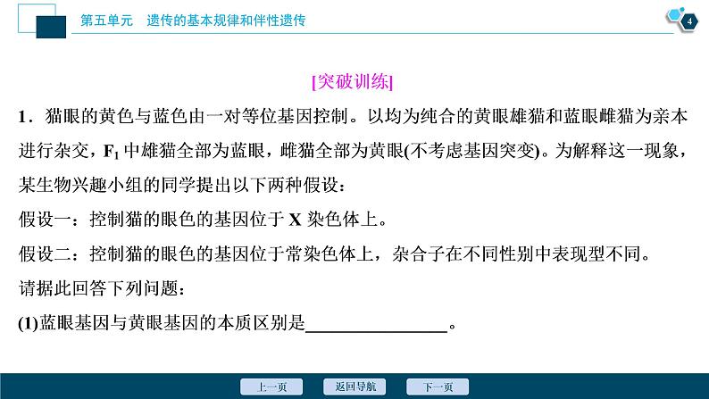 高中生物高考5　第五单元　加强提升课(5)　基因位置的判定及相关实验设计突破课件PPT第5页