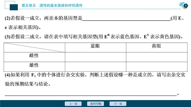 高中生物高考5　第五单元　加强提升课(5)　基因位置的判定及相关实验设计突破课件PPT第6页