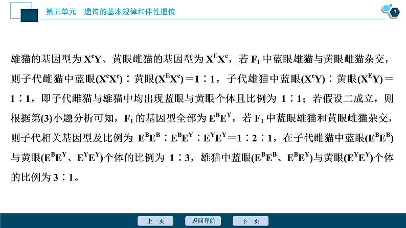 高中生物高考5　第五单元　加强提升课(5)　基因位置的判定及相关实验设计突破课件PPT第8页