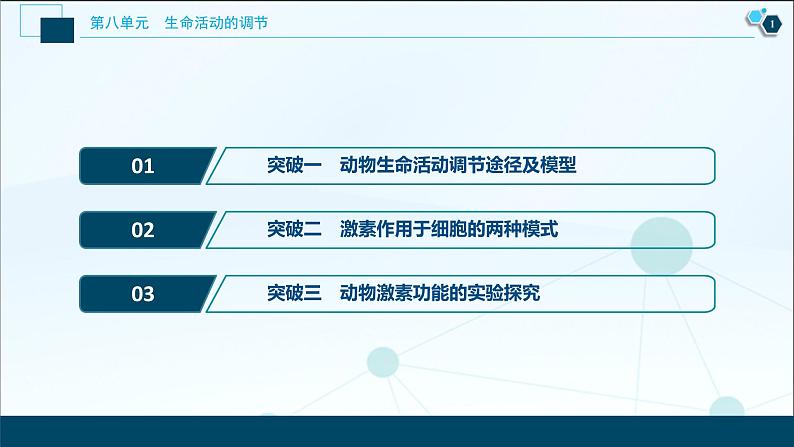 高中生物高考5 加强提升课(7)　动物生命活动调节模型及相关实验突破课件PPT02