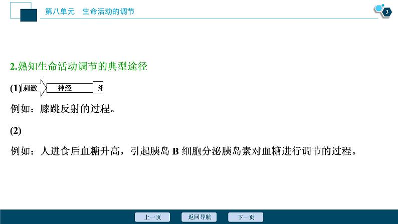 高中生物高考5 加强提升课(7)　动物生命活动调节模型及相关实验突破课件PPT04