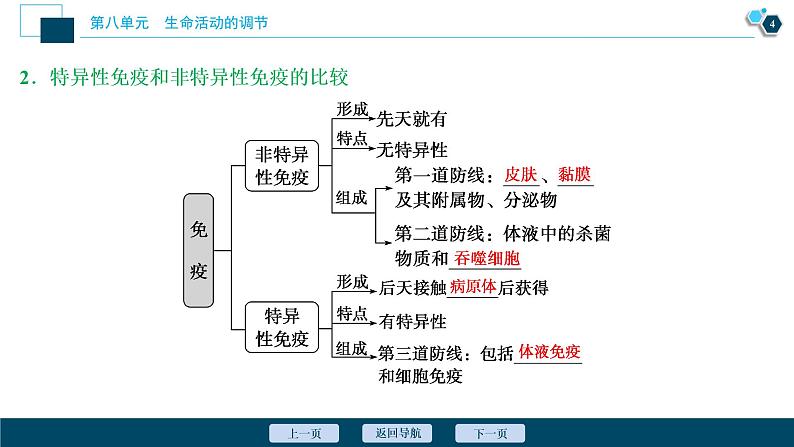 高中生物高考6　第八单元　第26讲　免疫调节课件PPT第5页