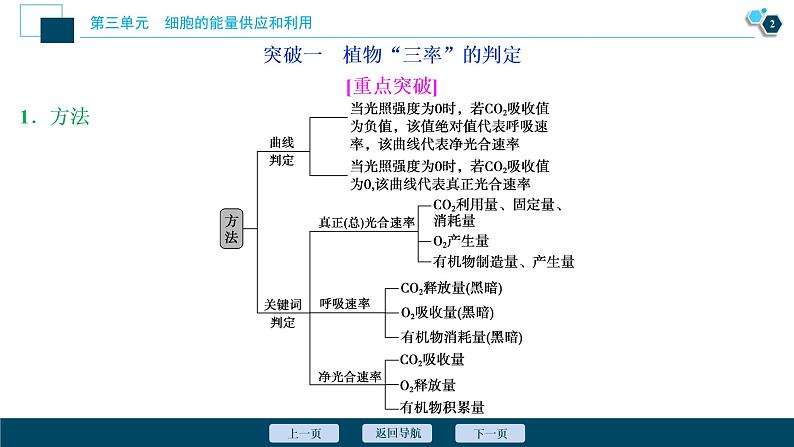 高中生物高考6　第三单元　加强提升课 　辨析“三率”及“三率”测定的5种实验模型课件PPT第3页