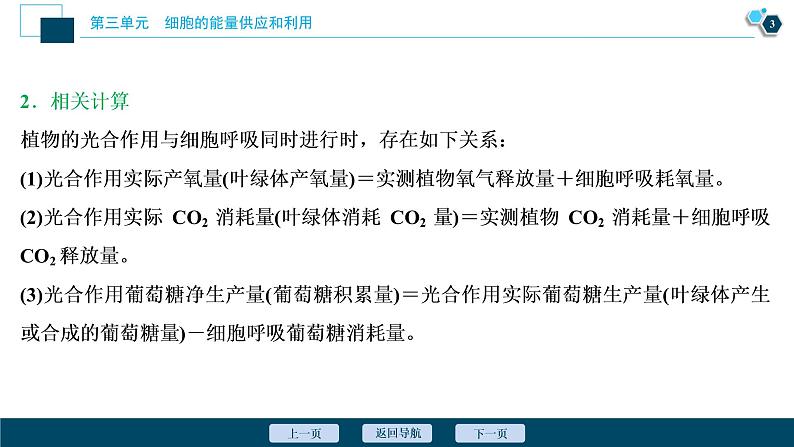 高中生物高考6　第三单元　加强提升课 　辨析“三率”及“三率”测定的5种实验模型课件PPT第4页