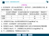 高中生物高考6　第三单元　加强提升课 　辨析“三率”及“三率”测定的5种实验模型课件PPT