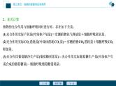 高中生物高考6 加强提升课 　辨析“三率”及“三率”测定的5种实验模型课件PPT