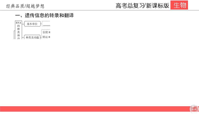 高中生物高考6-3课件PPT第5页