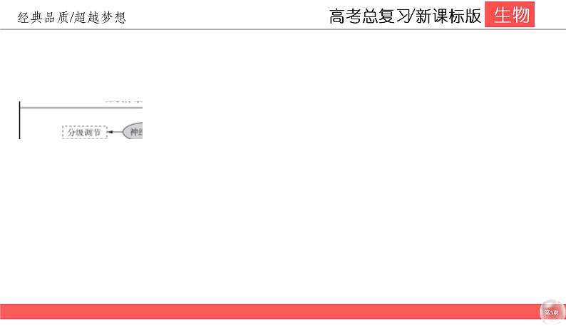 高中生物高考8-2课件PPT第3页