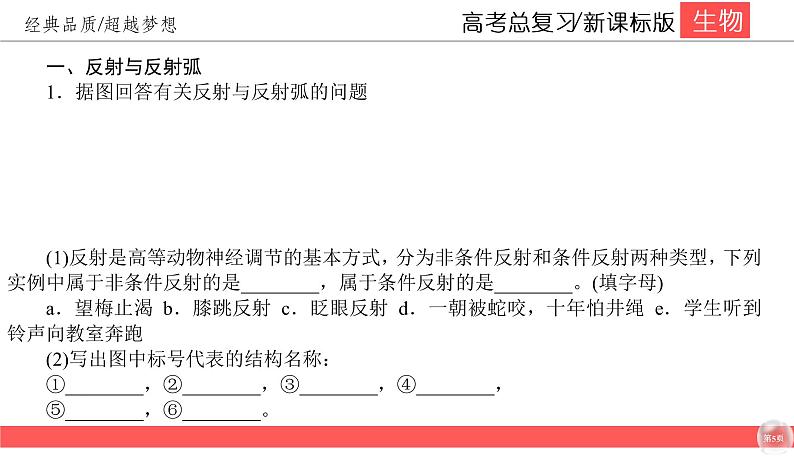 高中生物高考8-2课件PPT第5页