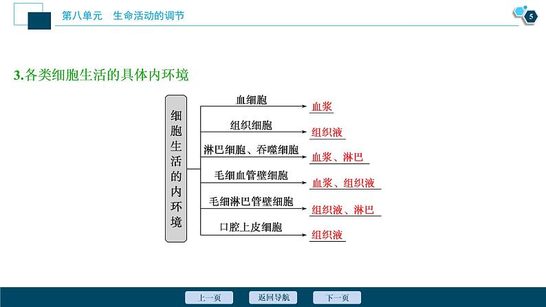 高中生物高考1 第23讲　人体的内环境与稳态课件PPT第6页