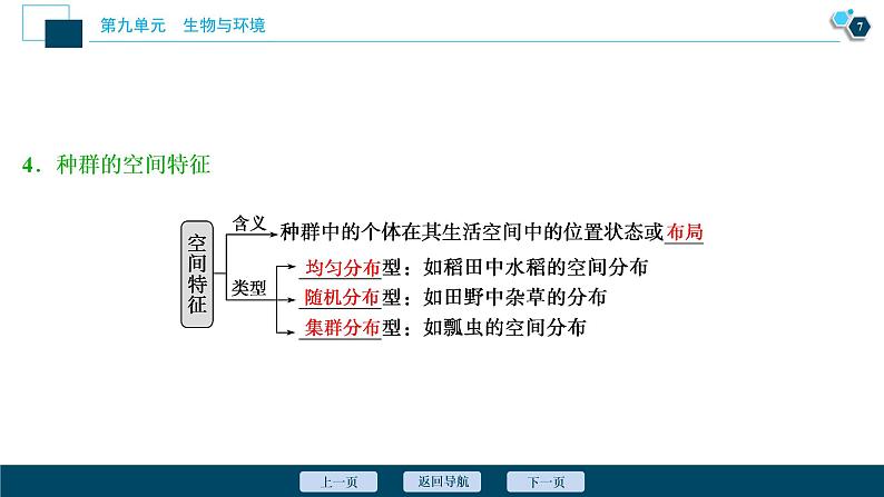 高中生物高考1 第28讲　种群的特征　种群数量的变化课件PPT08