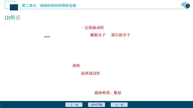 高中生物高考1　第二单元　第5讲　细胞膜和细胞核课件PPT第8页