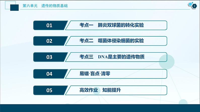 高中生物高考1　第六单元　第17讲　DNA是主要的遗传物质课件PPT02