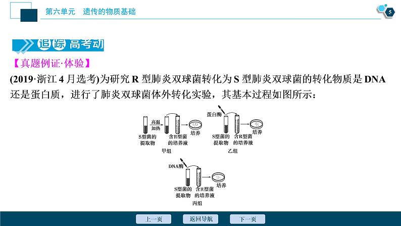 高中生物高考1　第六单元　第17讲　DNA是主要的遗传物质课件PPT06