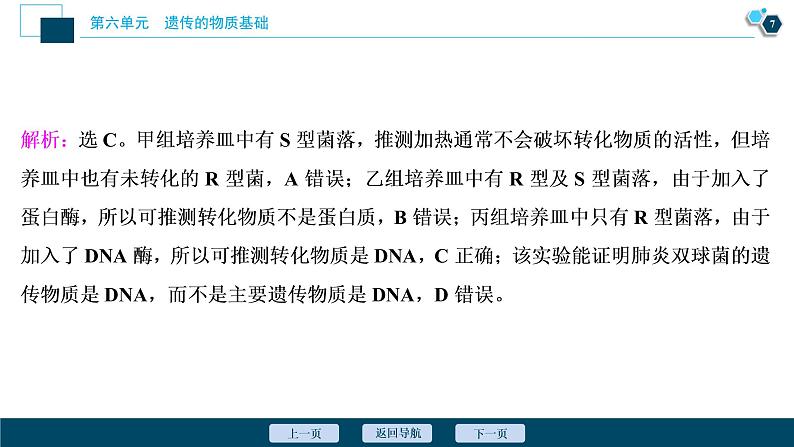 高中生物高考1　第六单元　第17讲　DNA是主要的遗传物质课件PPT08