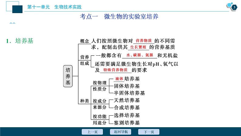 高中生物高考1　第十一单元　第36讲　微生物的培养与应用课件PPT第4页