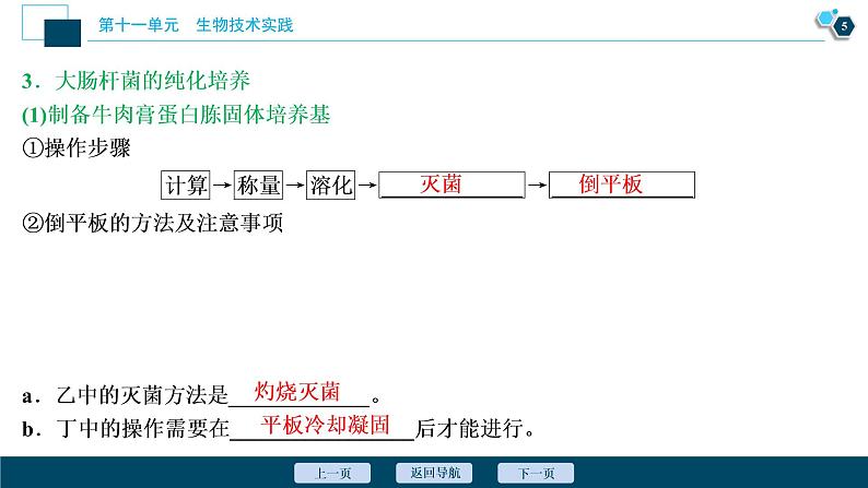 高中生物高考1　第十一单元　第36讲　微生物的培养与应用课件PPT第6页