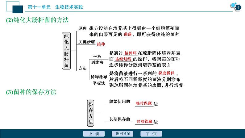 高中生物高考1　第十一单元　第36讲　微生物的培养与应用课件PPT第7页