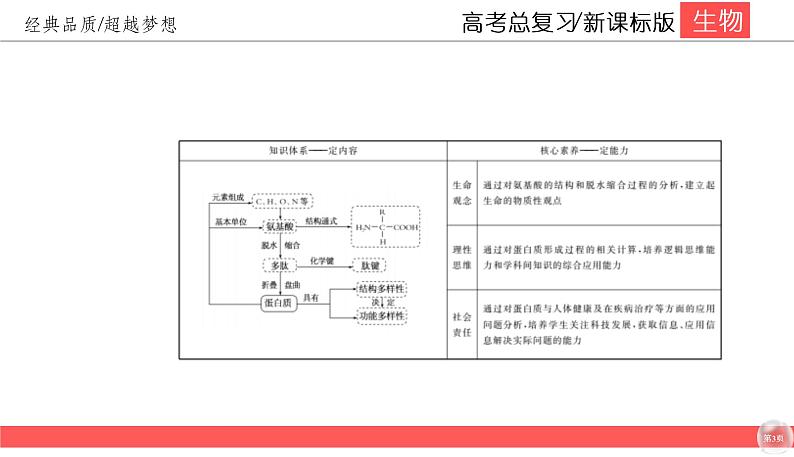 高中生物高考1-4课件PPT03