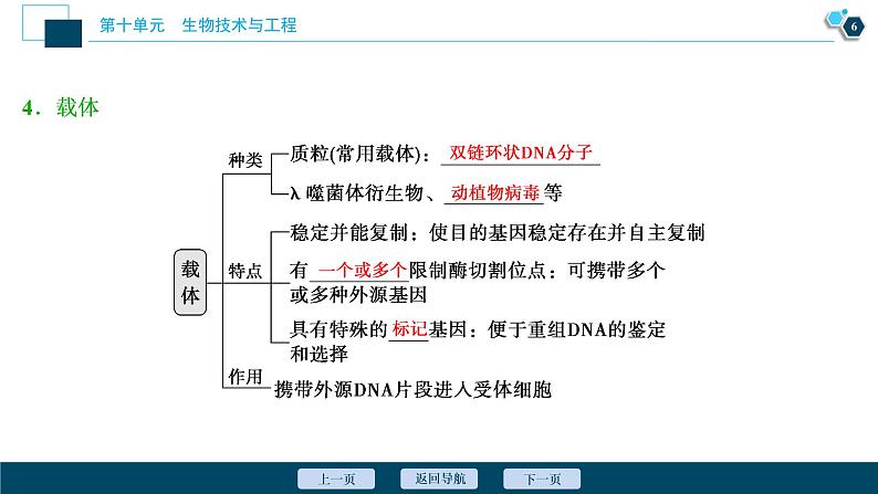 高中生物高考2 第34讲　基因工程课件PPT第7页