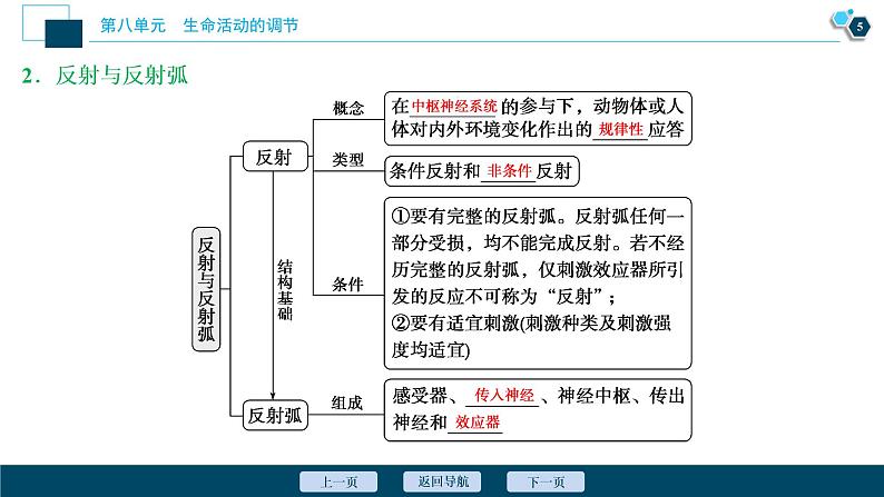 高中生物高考2　第八单元　第24讲　通过神经系统的调节课件PPT第6页