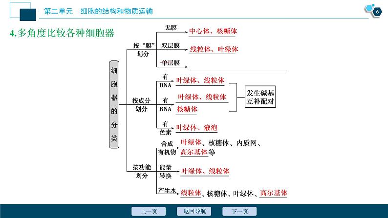 高中生物高考2　第二单元　第6讲　细胞器和生物膜系统课件PPT第7页