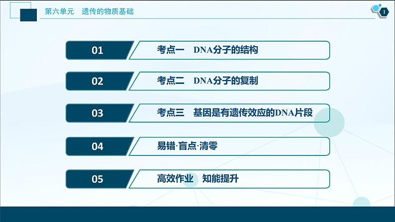 高中生物高考2　第六单元　第18讲　DNA分子的结构、复制及基因的本质课件PPT02