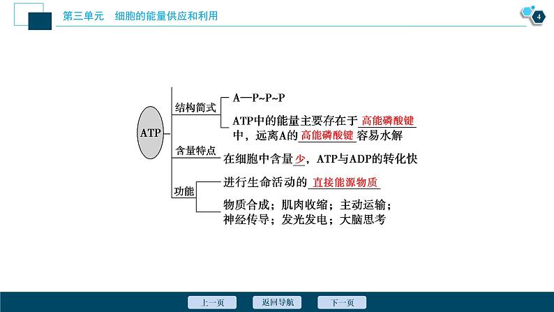 高中生物高考3 第8讲　ATP及其主要来源——细胞呼吸课件PPT第5页