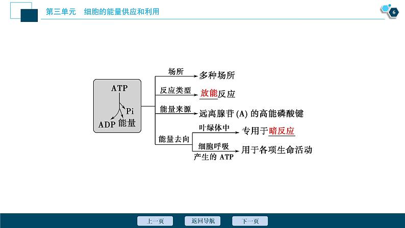 高中生物高考3 第8讲　ATP及其主要来源——细胞呼吸课件PPT第7页