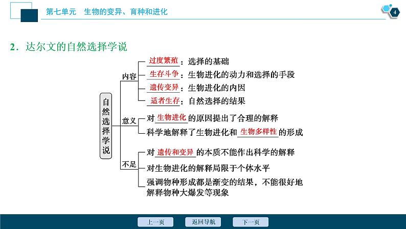 高中生物高考3　第七单元　第22讲　生物的进化课件PPT第5页