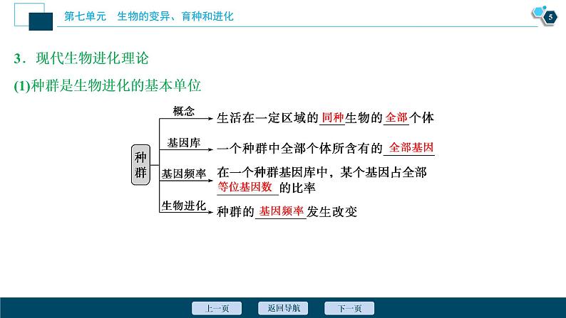 高中生物高考3　第七单元　第22讲　生物的进化课件PPT第6页