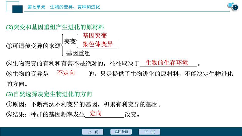 高中生物高考3　第七单元　第22讲　生物的进化课件PPT第7页