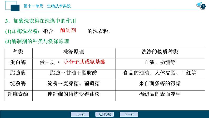 高中生物高考3　第十一单元　第38讲　酶与生物技术在其他方面的应用课件PPT第7页