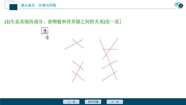 高中生物高考3 第30讲　生态系统的结构　生态系统的能量流动课件PPT第7页