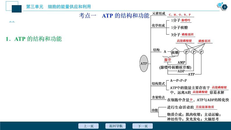 高中生物高考3　第三单元　第9讲　ATP及其主要来源——细胞呼吸课件PPT04