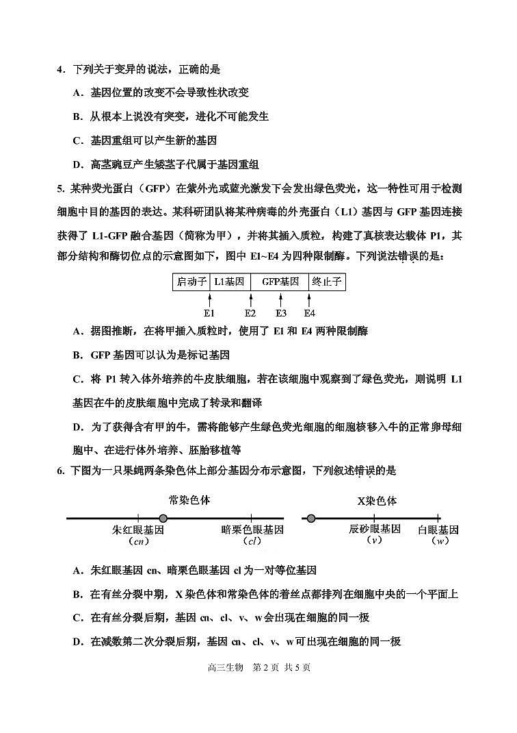 2019届天津市红桥区高三下学期一模考试生物试题（PDF版）02