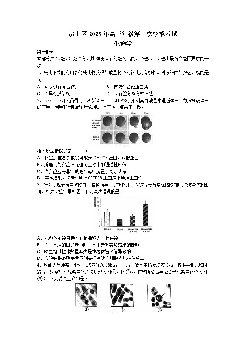 北京市房山区2023届高三下学期一模试题 生物 Word版无答案01