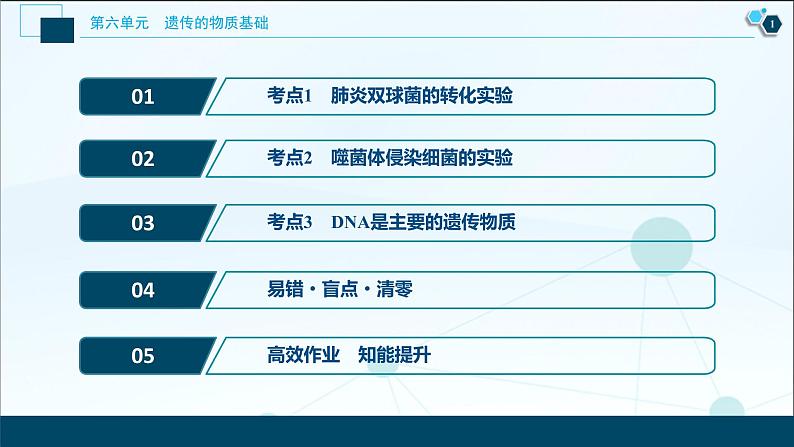 高中生物高考1 第17讲　DNA是主要的遗传物质课件PPT02