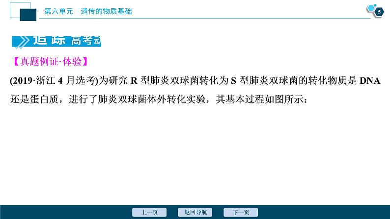 高中生物高考1 第17讲　DNA是主要的遗传物质课件PPT06