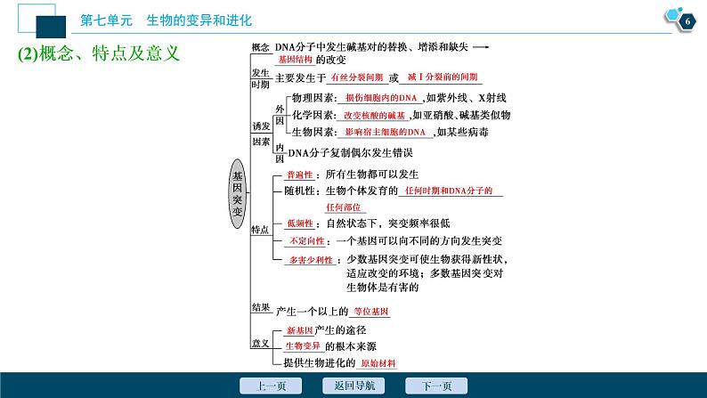 高中生物高考1 第20讲　基因突变和基因重组课件PPT第7页
