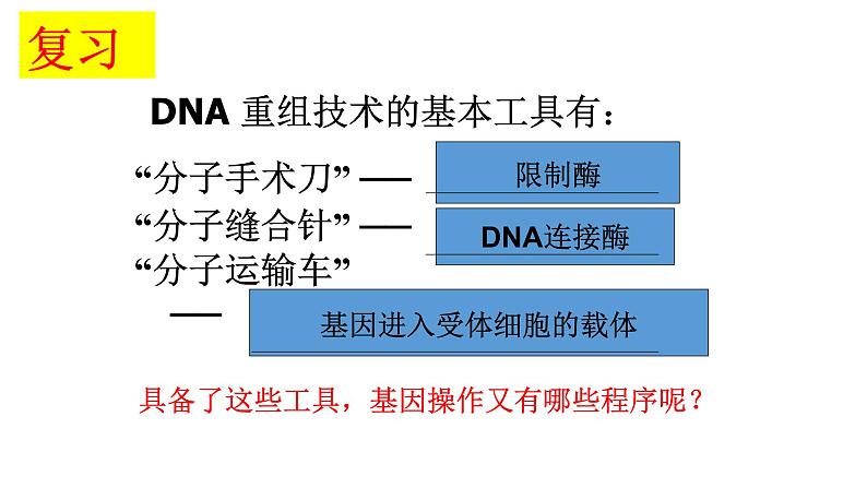 高中生物选择性必修三  3 2 基因工程的基本操作程序 课件练习题01