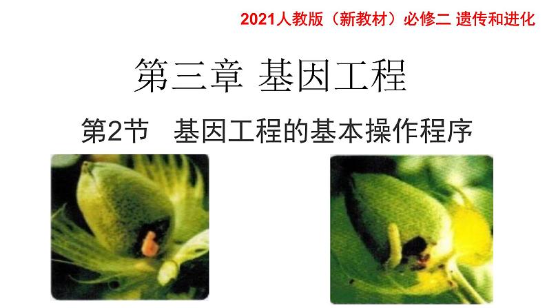 高中生物选择性必修三  3 2 基因工程的基本操作程序 课件练习题02