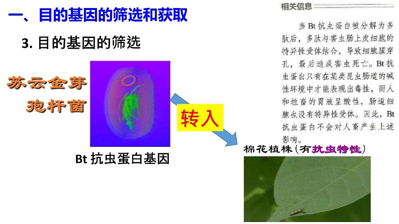 高中生物选择性必修三  3 2 基因工程的基本操作程序 课件练习题06